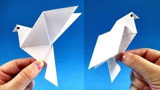 How to Make a Paper Dove Symbol of Peace  Easy Tutorials