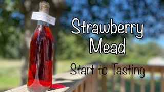 Strawberry Mead 2.0 - From Start to Tasting!