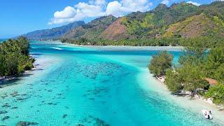 Beautiful Drone Footage of Moorea