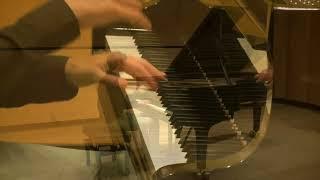 Chopin - Ballade No. 1 in G minor. Samnon