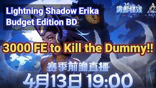 [ERIKA BUILD]Lightning Shadow Erika Budget Edition Build! 3000 FE to Kill the Dummy!!