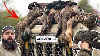 Duck Gun Chronicles Hunt 6: ULTIMATE PURSUIT - FULL Movie