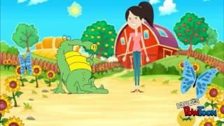 Allison's Alligator