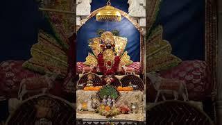 Jai ranchhodrai#ranchhodrai#krishnamantra #krishna #jagannath #temple #viralvideo