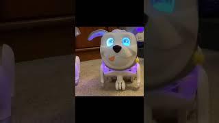 #short Furreal Makers Proto Max Robot Dogs - Big dog little dog nose booping compared #robotdog