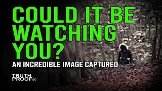 Could It Be Watching You? | A Deja Vu Moment led To Capturing An Incredible Photo