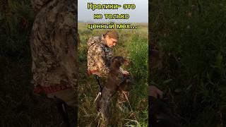 Тренировки для охотника