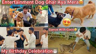 Entertainment Movie Vala Dog Ghar AyaApne Dogs Se Milvya My Birthday Celebration Dance With Coco