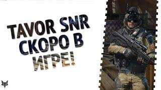 Tavor SNR возвращается в Warface!!! Как я получил Тавор СНР бесплатно в Варфейс?!