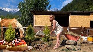 Уехала одна в турецкое село. Сажаю первые деревья и копаю камни, как сумасшедшая! Мечта или безумие?