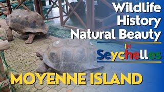 Explore Moyenne Island, Seychelles: Wildlife, History and Natural Beauty