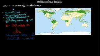 324  Мировые лесные ресурсы