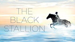 The Black Stallion (1979) Movie || Kelly Reno, Mickey Rooney, Teri Garr || Review and Facts