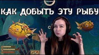 Raft | ГАЙД | ГДЕ НАЙТИ ИГЛОБРЮХА? КАК СДЕЛАТЬ ВЗРЫВЧАТЫЙ КЛЕЙ И СЕТКУ ДЛЯ ЖИВОТНЫХ?