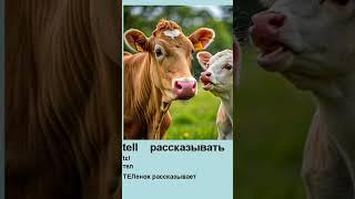 Учим основные английские глаголы tell - рассказывать