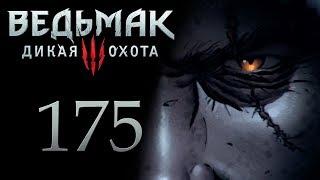 The Witcher 3 / Ведьмак 3 прохождение игры на русском - Дела государственной важности [#175] | PC