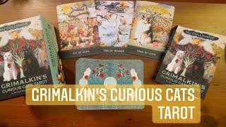 Grimalkin’s Curious Cats Tarot | Full Flip Through