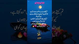 Urdu poetry video️ #music #song #shorts #quotes #urdupoetry #deeplines #whatsappstatus #viralvideo