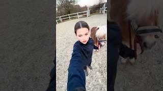 Hans -Vlog🫶! #reiter #pferde #fyp#shorts#pony#pferdemädchen