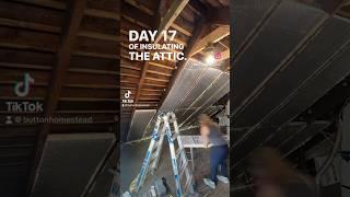 Day 17 of insulating the attic | ButtonHomestead