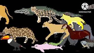 The Kids Picture Show HD RainForest Animals My Version Ending Credits from timer or book version