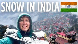 SHOCKED by SHIMLA  Solo India Travel Vlog - Snow in India, Jakhu Temple, The Ridge & Mall Road