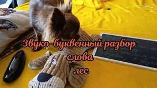 Звуко-буквенный разбор слова лес