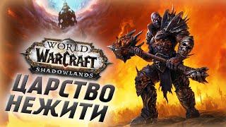 ДОРОГА В МАЛДРАКСУС - ЦАРСТВО НЕЖИТИ! WOW SHADOWLANDS