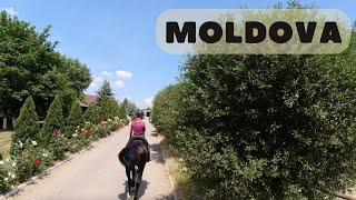 Horse Riding in Moldova: Budești, Chișinău