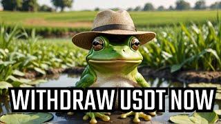 How to Withdraw USDT from Frog Farm & Avoid Getting Rugged