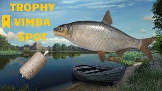 Trophy Vimba Spot Volkhov | Russian Fishing 4 #3 (06/03/2025)