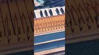 How to tune Harmonium || Baba the school of music || Varanasi #indianmusic #musicschool