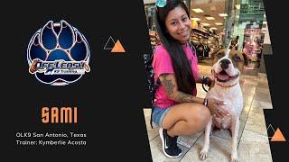 1Y 10Mo Boxer Mix “Sami” | Reactive Dog | Trainer: Kymberlie Acosta