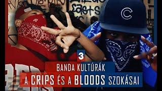 Banda kultúrák: A Crips és a Bloods szokásai #3