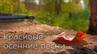 3 ОЧЕНЬ КРАСИВЫЕ ПЕСНИ ПРО ОСЕНЬ... | МСЦ ЕХБ