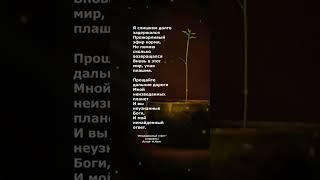 #стихи #поэзия #poetry #наталиният