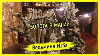 БОЛОТА В МАГИИ ▶️ ВЕДЬМИНА ИЗБА - МАГИЯ