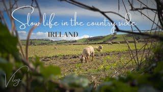 9. Unpredictable spring day. Slow living in the Irish countryside. Silent vlog.