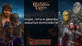 Расы Baldur's Gate 3. Люди, гиты и дварфы