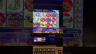 Another one!!  Twin Win Slot Machine 