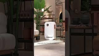 AIRLEO Duo Eco Air System