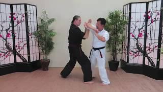 Progressive Wing Chun for One Brown Stripe: Hubud