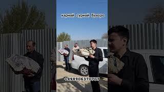 #2025 #karnay #surnay #buxoro #reels #youtubeshorts #youtube #shortvideo