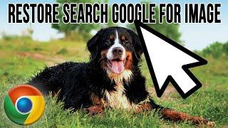 How to Get Around the Search images with Google Lens Feature in Google Chrome