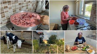 ÇİLEK REÇELİ TARİFİM️BAHÇE İŞLERİ DOLU DOLU VLOG