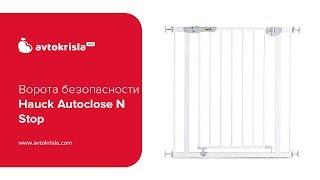 Ворота безопасности для дверного проема Hauck Autoclose N Stop