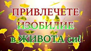  ПРИВЛЕЧЕТЕ БОГАТСТВО със ЗАКОНА ЗА ПРИВЛИЧАНЕТО