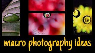 3 Macro photography ideas with water drops ||  #photographer #macro photography #creative photos