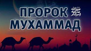 Пророк Мухаммад ﷺ Любимец Всевышнего 4