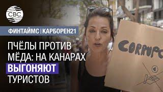 Пчёлы против мёда: на Канарах выгоняют туристов